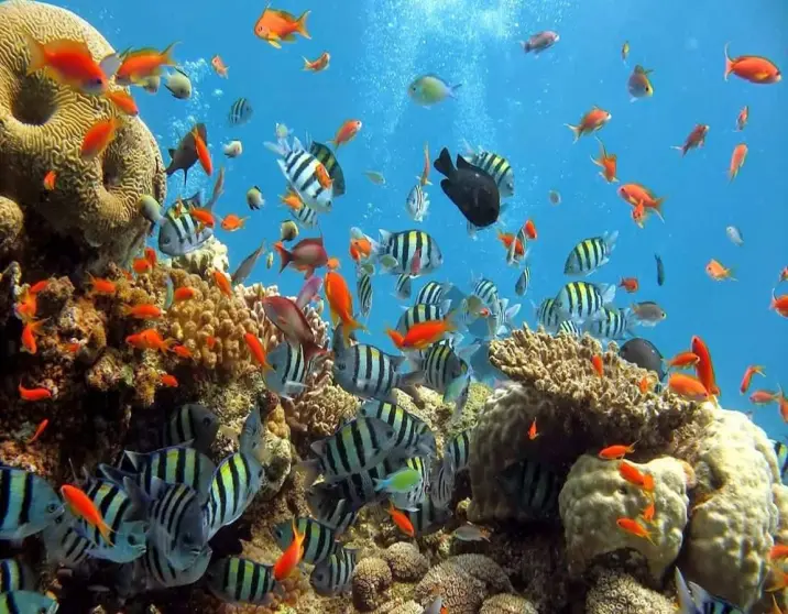 8 Days Honeymoon Tour in Cairo, Luxor, Hurghada